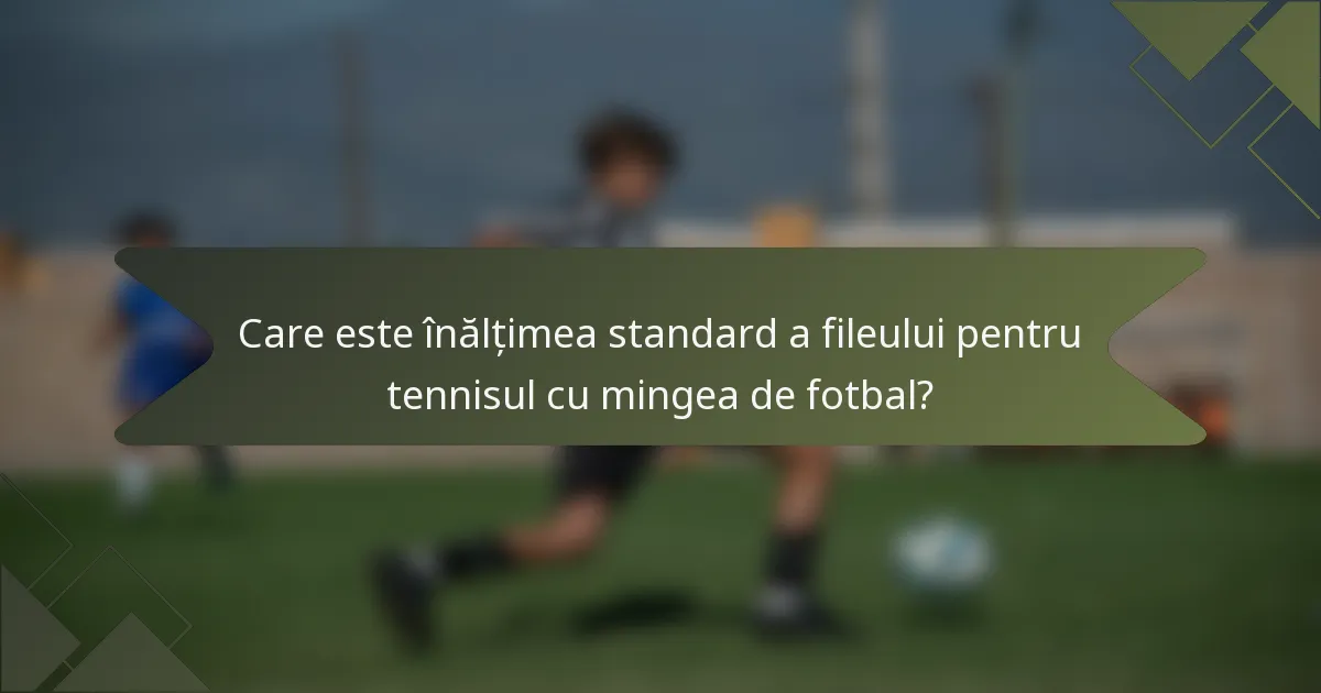 Care este înălțimea standard a fileului pentru tennisul cu mingea de fotbal?