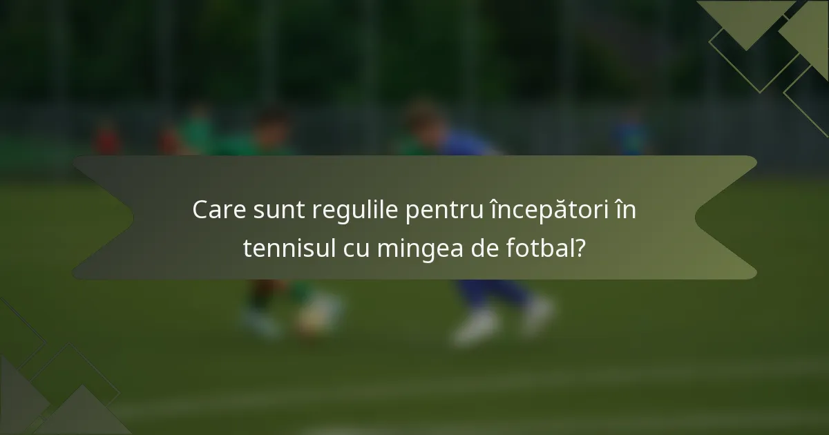 Care sunt regulile pentru începători în tennisul cu mingea de fotbal?