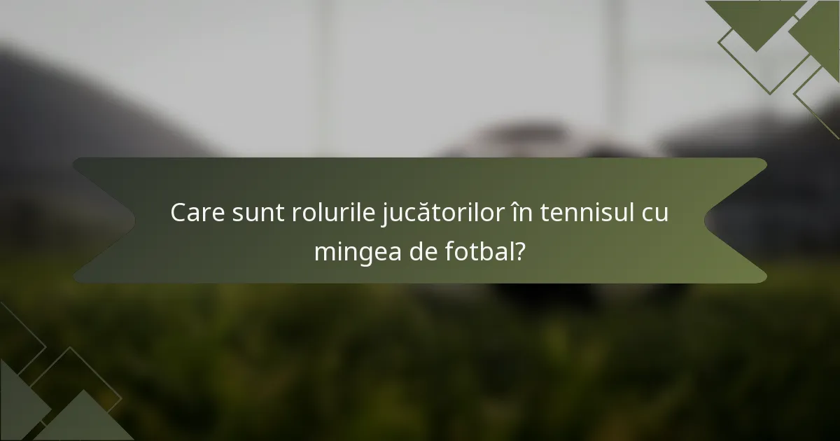 Care sunt rolurile jucătorilor în tennisul cu mingea de fotbal?