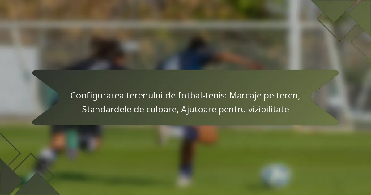Configurarea terenului de fotbal-tenis: Marcaje pe teren, Standardele de culoare, Ajutoare pentru vizibilitate